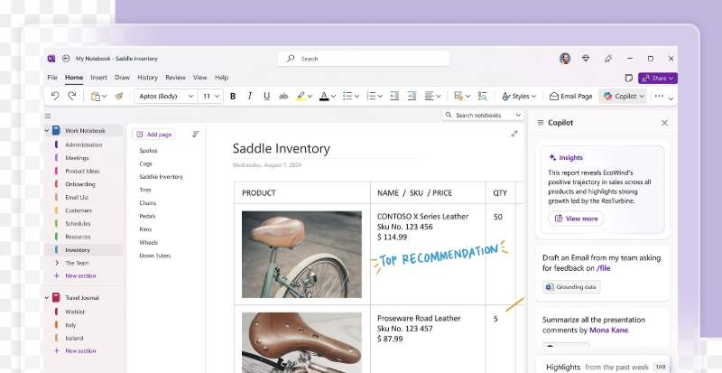 Example of OneNote notes